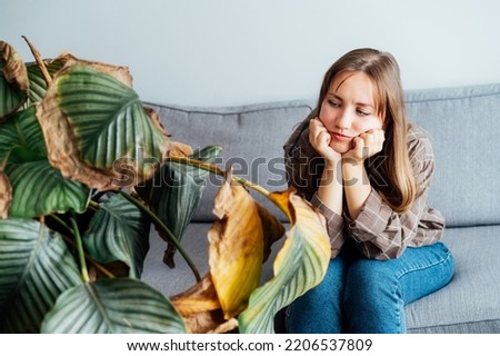 Young upset, sad woman holding dried dead foliage of her home plant Calathea. Houseplants diseases. Diseases Disorders Identification and Treatment, Houseplants sun burn. Damaged Leaves.
