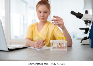 Young Vet Assistant Working In Clinical Laboratory