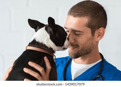 Young Vet Playing With Boston Terrier At Clinic. Smiling Veterinarian With Stethoscope Loving Little Dog In Hospital After Checkup. Cute Puppy Lick The Vet's Nose, Pet Care.