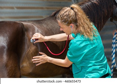 Young veterinarian conducting a review to a young colt - Powered by Shutterstock