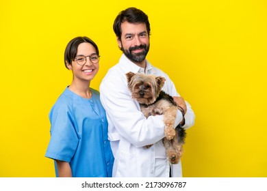 veterinarian dating