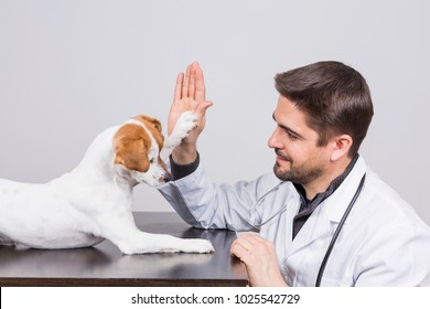 Young Veterinarian Man With Stethoscope, Playing With A Cute Small Dog High Five.white Background. Indoors