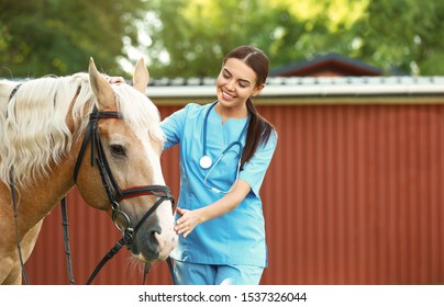 Young veterinarian with palomino horse outdoors on sunny day - Powered by Shutterstock