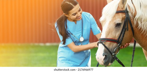 Young veterinarian with palomino horse outdoors on sunny day, space for text. Banner design - Powered by Shutterstock