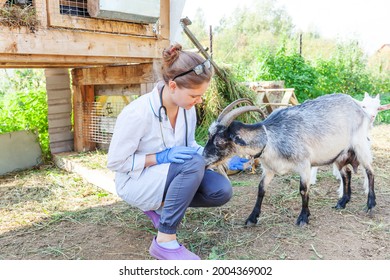 Young Veterinarian Woman With Stethoscope Holding And Examining Goat On Ranch Background. Young Goat With Vet Hands For Check Up In Natural Eco Farm. Animal Care Livestock Ecological Farming Concept