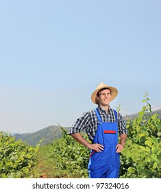 A young vintner posing with vineyard in the background, Macedonia