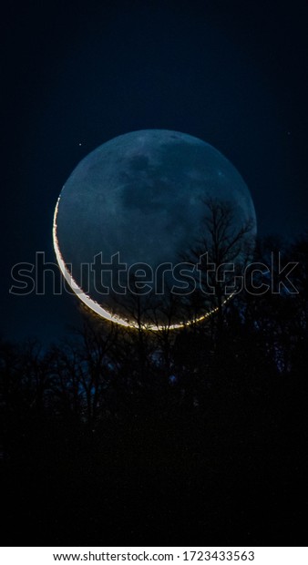 Young waning\
crescent moon. Immersion moon. Moon behind the trees. Black Tree\
shadows. Moon light. Late\
night.