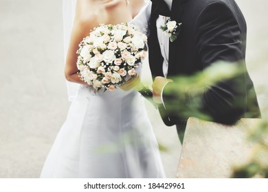 Young Wedding Couple. Groom And Bride Together.