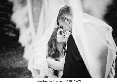 Young wedding couple under veil looking each other