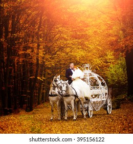 Young wedding romantic couple of bride in white dress and bridegroom in suit in cinderella carriage with horses in autumn deep orange forest outdoor on natural background, square picture