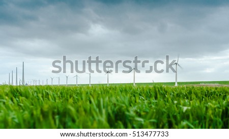 Young wheat blowing in the wind during a spring drum. In the background windmills spinning in high speed. Picture taken in the near Espel in the dutch noordoostpolder