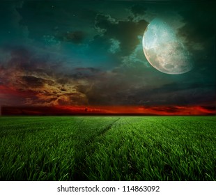 Young Wheat Field At Night With The Moonlight