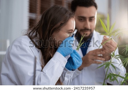 Young White Sciencetist woman looking through magnifying glass watching weed leaf while her co-worker looking at her waitting for result of experiment in Lab room.