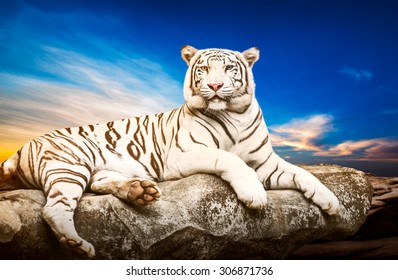 2,664 White tiger clouds Images, Stock Photos & Vectors | Shutterstock