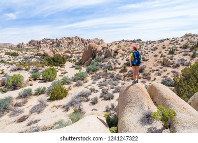 Young woman admiring the view in Joshua Tree National park. Traveling woman with backpack walking in Joshua Tree National Park, California, USA. Adventure and travel concept.