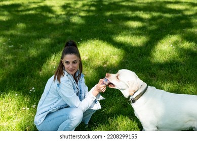 Young Woman Adopt Young Dog Labrador Retriever From Animal Rescue Center And Gave Him Love And Friendship. Female Animal Lover Spending Time With Her Puppy In The Park.