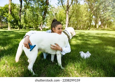 Young Woman Adopt Young Dog Labrador Retriever From Animal Rescue Center And Gave Him Love And Friendship. Female Animal Lover Spending Time With Her Puppy In The Park.