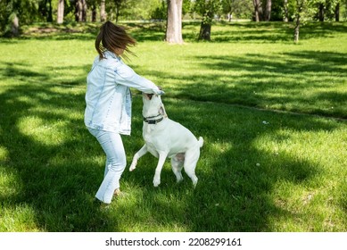 Young Woman Adopt Young Dog Labrador Retriever From Animal Rescue Center And Gave Him Love And Friendship. Female Animal Lover Spending Time With Her Puppy In The Park.