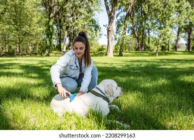 Young Woman Adopt Young Dog Labrador Retriever From Animal Rescue Center And Gave Him Love And Friendship. Female Animal Lover Spending Time With Her Puppy In The Park.