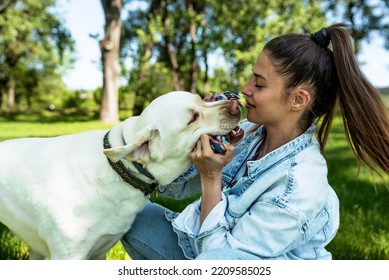 Young Woman Adopt Young Dog Labrador Retriever From Animal Rescue Center And Gave Him Love And Friendship. Female Animal Lover Spending Time With Her Puppy In The Park.