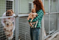 Young Woman Adopting Beautiful Dogs At Animal Shelter.	