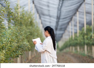 Young woman agronomist writing notes beside apple trees in modern orchard with anti hail net