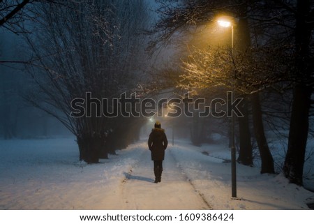 Similar – Image, Stock Photo Night walk in winter, across a railroad bridge