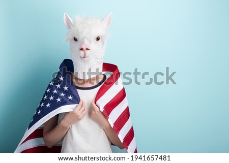 Young woman in alpaca mask hold USA US United States flag wrapped around the shoulders, isolated on blue background with copy-space.