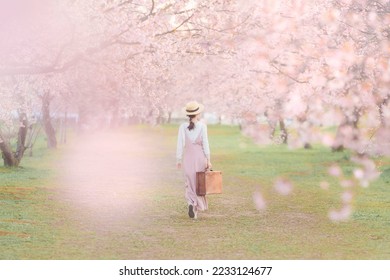 Young woman among beautiful cherry blossoms in full bloom