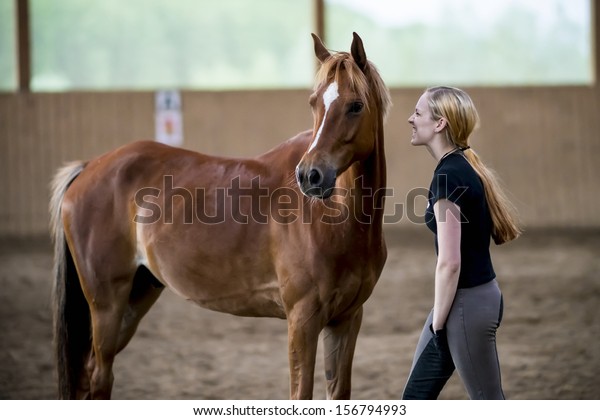 Angry Young Stallion