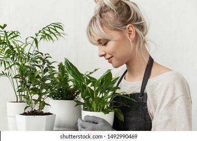 Young Woman In An Apron With Indoor Plants In Her Hands On A White Background And Looks At The Green Leaves Of Flowers