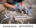 Young woman archaeologist working on human remains excavation