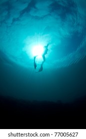A young woman ascends from a free dive against the sun