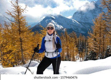 Young Woman Backcounrty Skiing In Yellow Larch Alpine Forest. Canadian Rockies In Winter. Lake Louise Area.  Banff National Park. Alberta. Canada