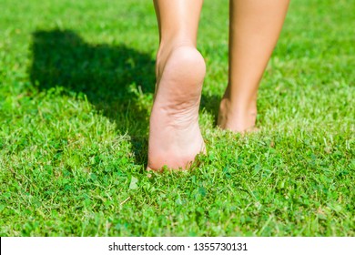 Young woman barefoot walking on fresh, green grass in sunny summer in morning. Shadow of girl. Restful moment. Healthy lifestyle. Bright color. Closeup. Low angle. Back view. - Shutterstock ID 1355730131