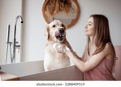 young woman in the bathroom washes dog and applies shampoo for wool, girl bathes golden retriever and rubs it with foam - Powered by Shutterstock