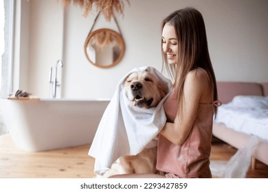 young woman in the bathroom wipes the dog with a towel, the girl dries the golden retriever after bathing - Powered by Shutterstock