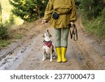 young woman with a beagle dog walking in the forest
