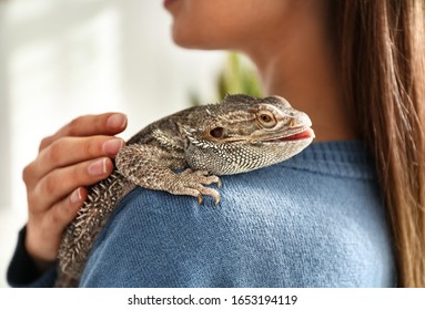 Young Woman With Bearded Lizard At Home, Closeup. Exotic Pet
