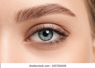 Young woman with beautiful eyebrows, closeup