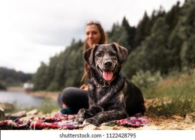 Young Woman And Beautiful German Shepherd Mix Dog Puppy Sitting Together Outdoor Making A Pause During A Hike