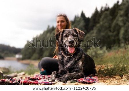 young woman and beautiful german shepherd mix dog puppy sitting together outdoor making a pause during a hike
