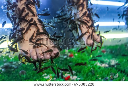 Young woman in beauty salon. Fish pedicure as new modern spa treatment