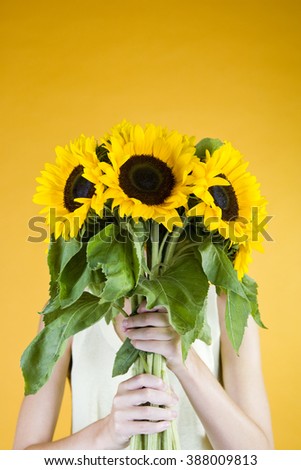 Similar – Sonnenblumen vor einem Haus