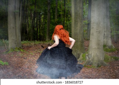 Young Woman From Behind, With Long Red Hair And Black Dress Runs Through A Forest In The Fog