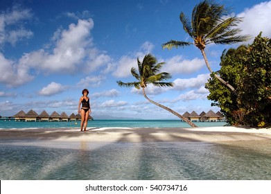 Young woman in black bathing suit in Bora Bora island beach with palm trees, green ocean and bungalows background - Powered by Shutterstock