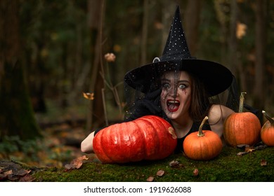 Sorciere Halloween Images Stock Photos Vectors Shutterstock