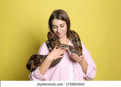 Young woman with boa constrictor on yellow background. Exotic pet