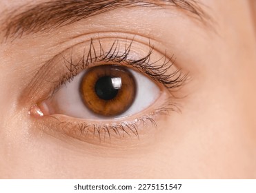 Young woman with brown eyes, close up