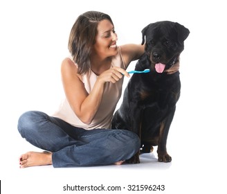 Young Woman Brushing The Teeth Of Her Rottweiler In Front Of White Background